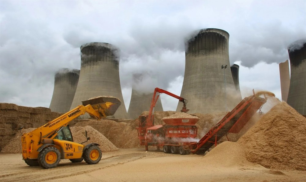 燃煤電站暫緩，生物質(zhì)電站改造為國際電力市場帶來新機(jī)遇