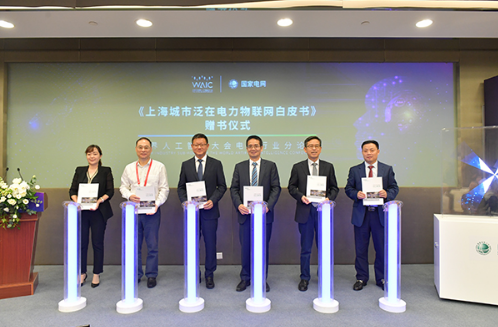 八月份公司泛在電力物聯(lián)網(wǎng)建設(shè)情況